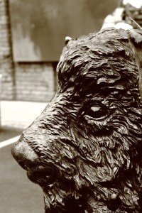 Buffalo sculpted out of wood