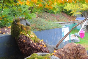 My angle could have been better on this photo, but he is actually fishing...