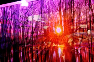 I am not even sure what this was made out of. Some sort of media art, but it was beautiful.