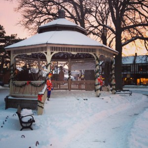 We headed up to Winnetka/Glencoe to visit a great friend of ours. CUTEST villages I have ever seen.